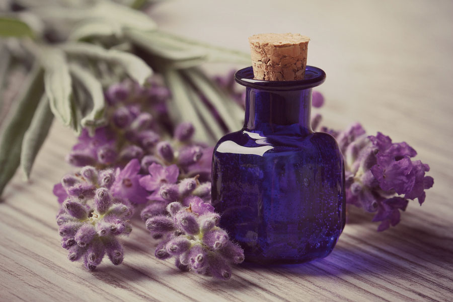 Lavender oil 107